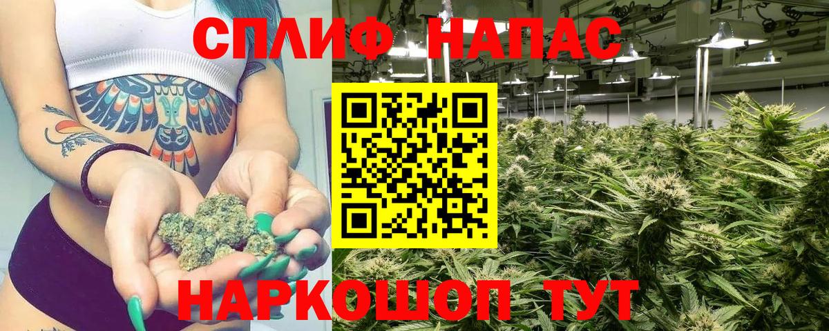 Бошки марихуана AK-47  Бошки Шишки планчик  Конопля план  Лосино-Петровский  Вход с VPN 